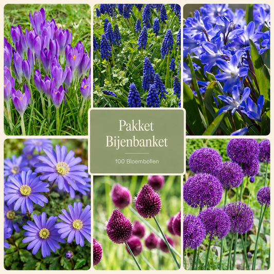 Pakket Bijenbanket – 100 Bloembollen