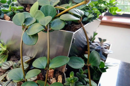 Stapeltuin Tafelmodel - Aluminium